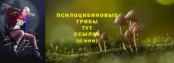 2c-b Покров