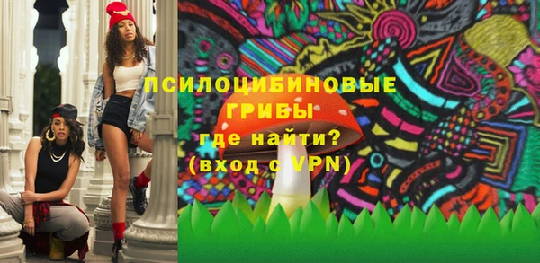 СК Покачи
