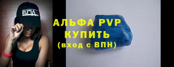 СК Покачи